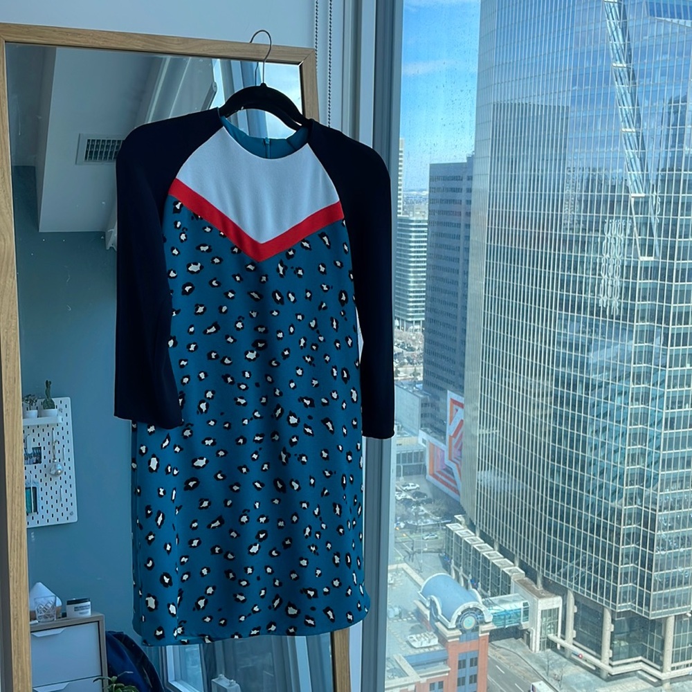 Zara dress